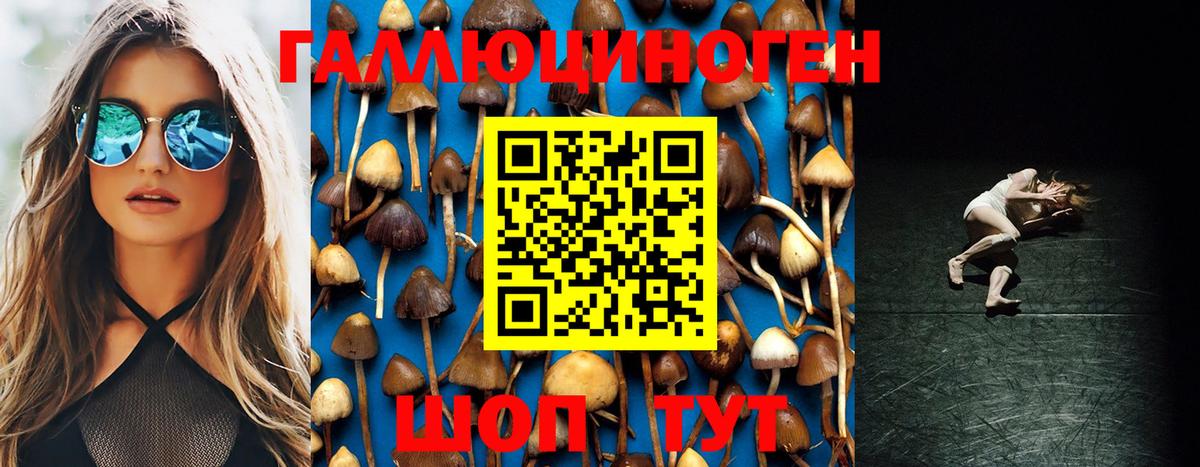 Туймазы  Псилоцибиновые грибы Cubensis  Галлюциногенные грибы Psilocybe  Вход с VPN 