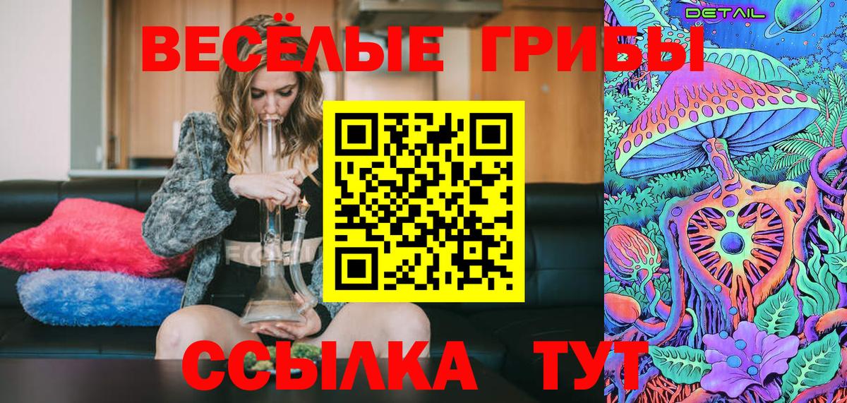 Псилоцибиновые грибы Psilocybe Туймазы